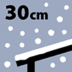 30cm