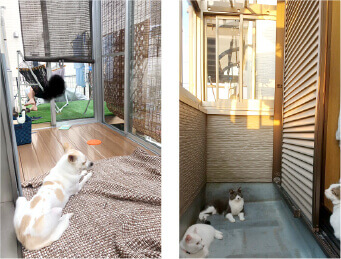 ワンちゃんネコちゃんも大満足