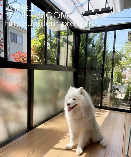 わんこ達の遊び場になっています。