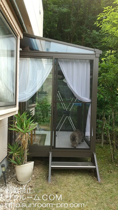 ペットも大喜びです。