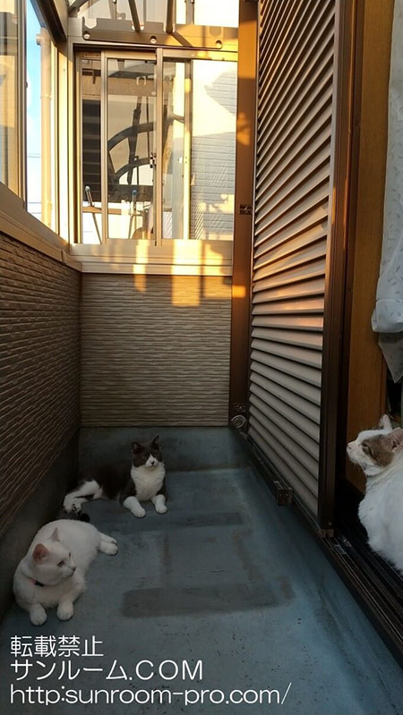 思っていたよりも素敵な仕上がりに満足度１２０％です！