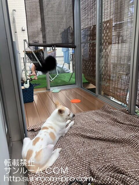 子供達が騒げるスペース、犬が自由にできるスペースが増えて喜んでおります。