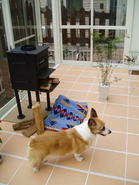 愛犬のモモも明るく暖かいサンルームで走り回ったり、昼寝をしたりと喜んでいるようです。