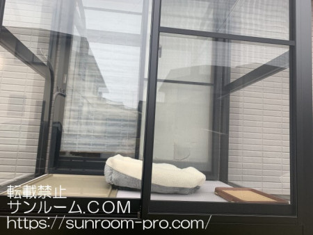 ワンチャンの雨の日避難用