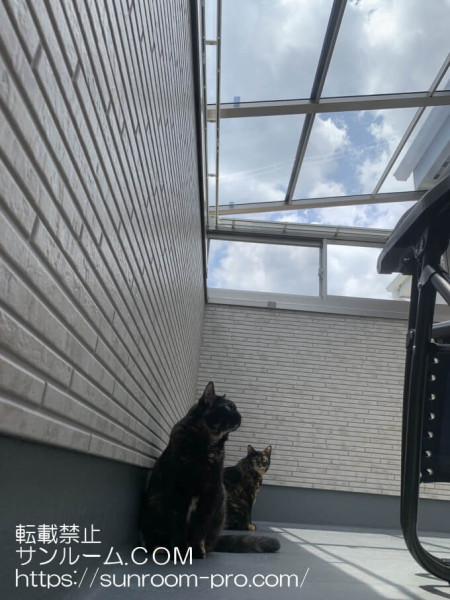 QOLが上がりました