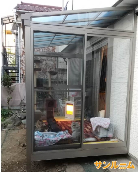 ネコ達は大喜びです。