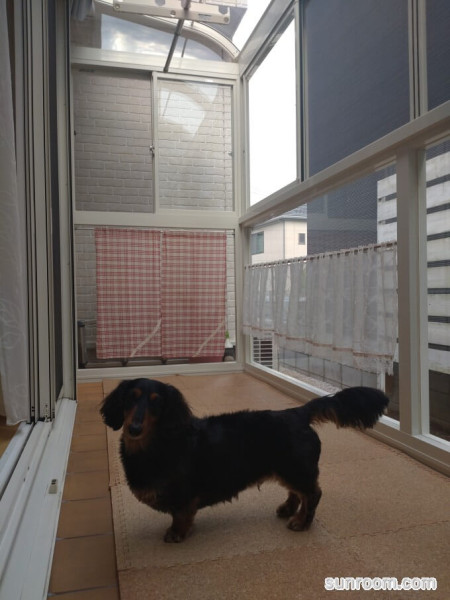 便利になりました