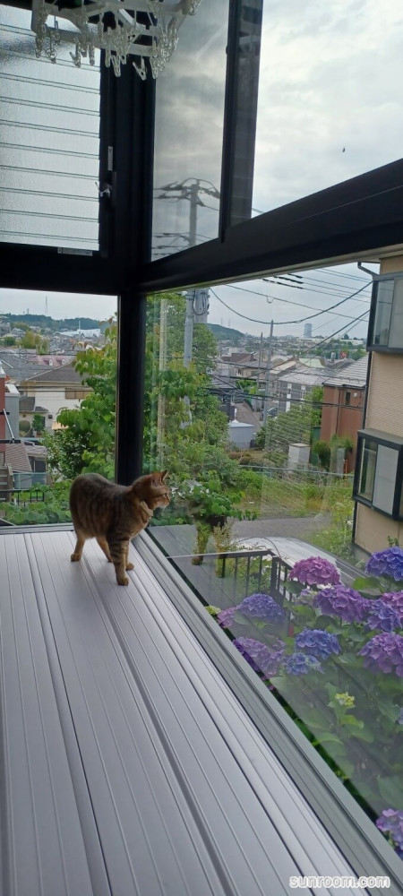 丁寧な対応に安心しました