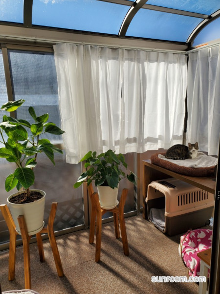 ポカポカです(*^^*)