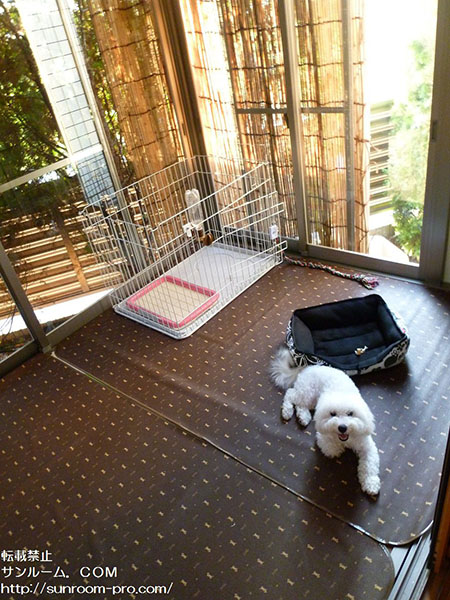 他では考えられない程迅速に対応して下さることが最大の魅力でした。