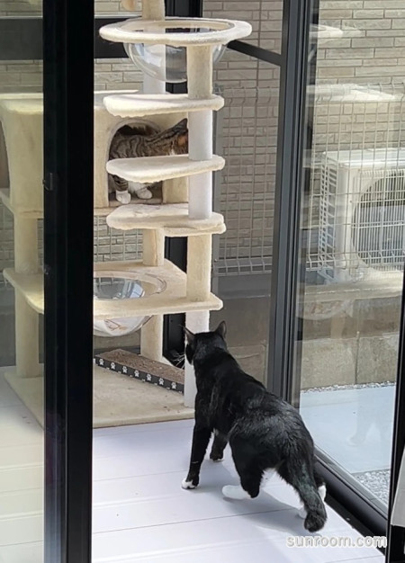 猫の日向ぼっこ用