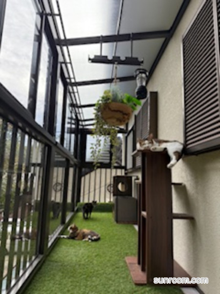 ネコ専用スペースに大活躍