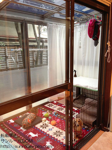 家族もワンコもお気に入りの場所になりました。