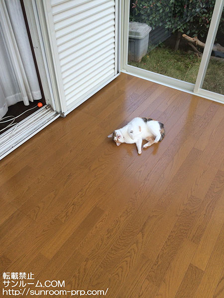 ペットも家族も大満足です！