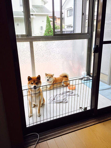 素敵なサンルームをありがとうございました!