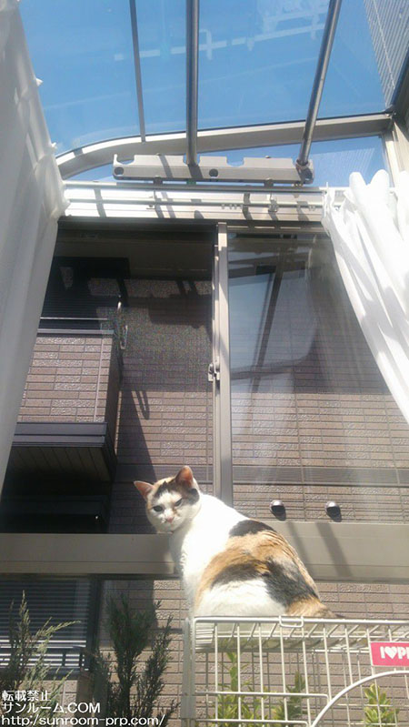 サンルームは素敵で、解放感があります。