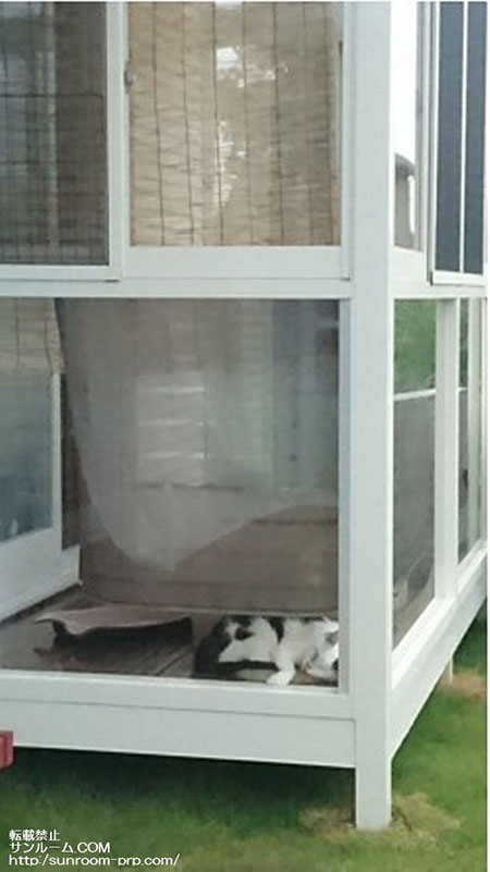 猫たちのために設置しました。