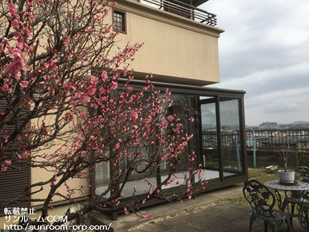 サンルーム生活を満喫出来そうです。