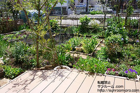 昼食やバーベキューなどを楽しめそうなウッドデッキ