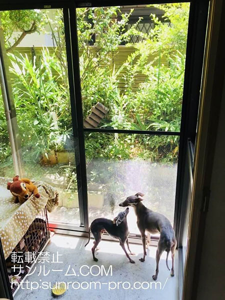 本当に素敵なサンルーム部屋が出来ました。