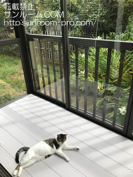 写真に写り込んでいる子の他にあと3匹いますが、皆気に入った様子で寛いでいます。